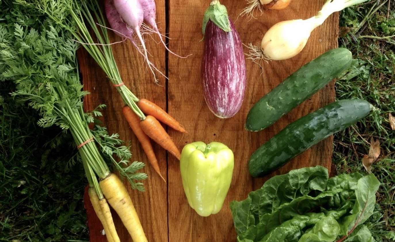 Summer’s Haul: Managing Abundance in Peak Season